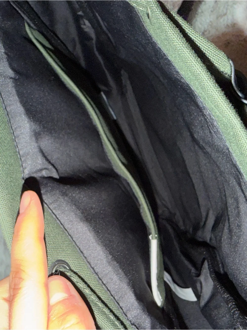 Everlane The Canvas Backpack Forest Green Front Pocket new with tags